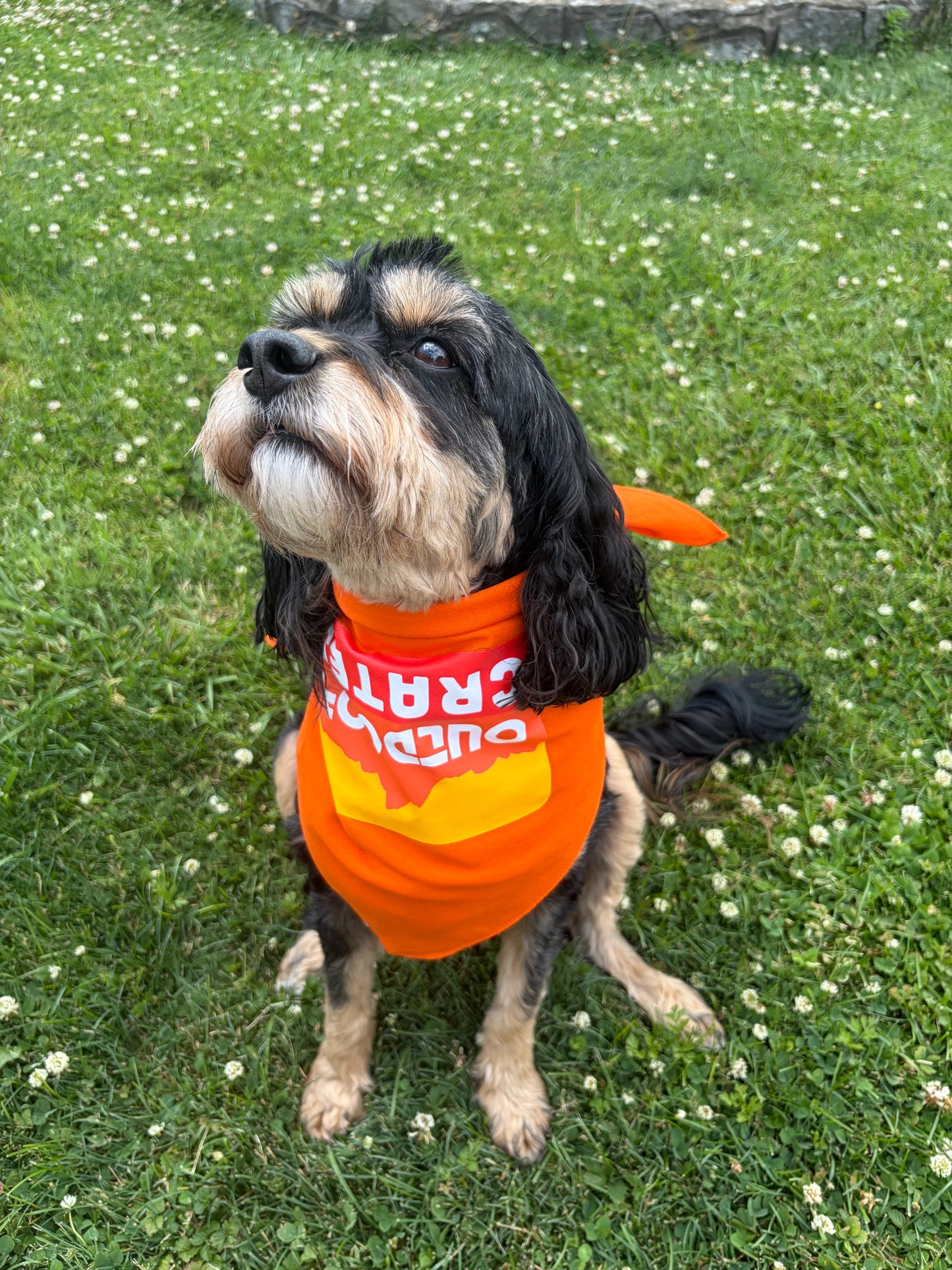 Dog Days of Summer Bandana - Free With Purchase of Crate(s)
